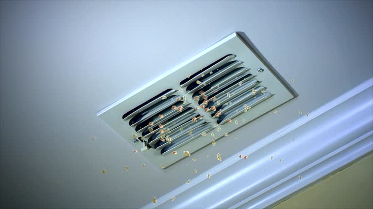 Best Best Air Duct Cleaning Company  in Calumet Park, IL